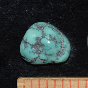 White River Turquoise Seafoam Cabochon/24 Carats/Lot #30