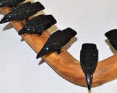 Hand Carved Zuni Crow on Cottonwood Display