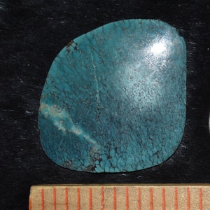 Hubei Turquoise Unbacked Cabochon/48.5 Carats/Lot #16