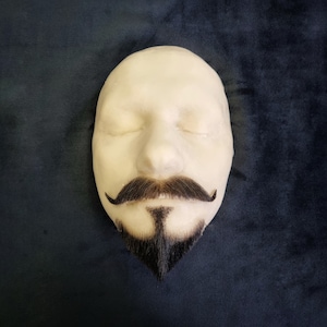 Set of fake beard and mustache