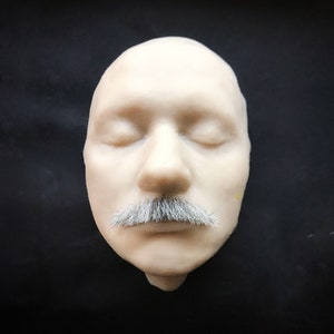 In stock only in US! Realistic false mustache « Einstein»