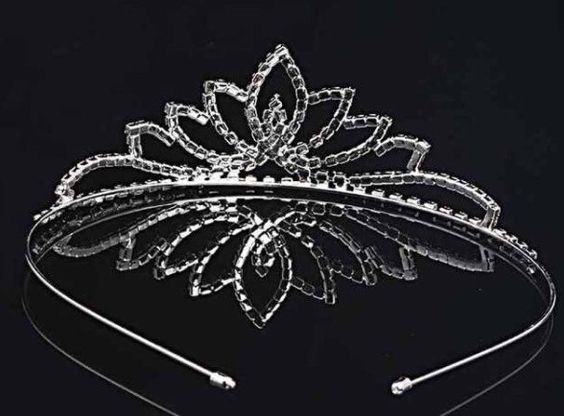 May include: A silver tiara with a floral design and clear rhinestones. The tiara has a flexible headband.
