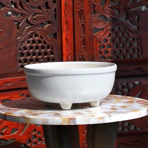 May include: White ceramic planter with four small feet. The planter is sitting on a table with a mosaic surface.