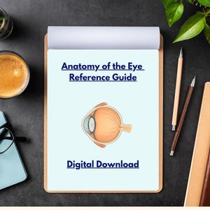 Anatomy of the Eye Printable PDF | 4-Page Eye Diagram with Labels & Study Sheets | Ophthalmology Tech Student Resource | Lacrimal System
