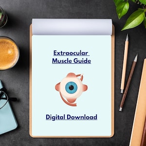 May include: A clipboard with the text "Extraocular Muscle Guide" and "Digital Download" is displayed. An illustration of an eye is in the center. A cup of coffee, a notebook, and glasses are on the left. Pencils and a plant are on the right.