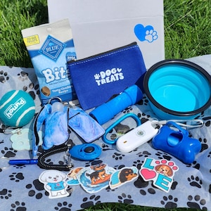 Dog walking Safety and Training Box