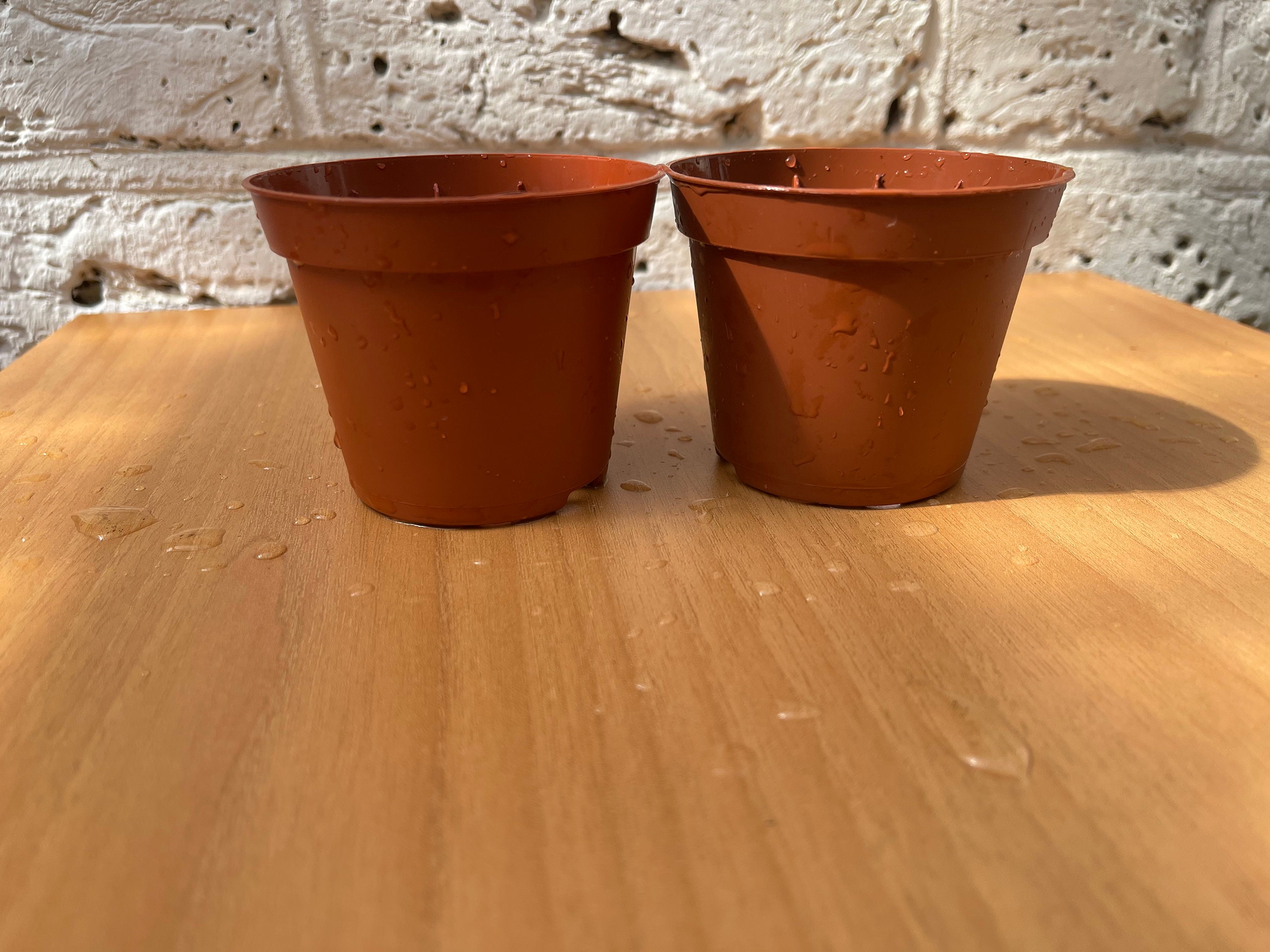 Houseplant Growing Pot Brown Plant Pot set of 2 Pots Etsy UK
