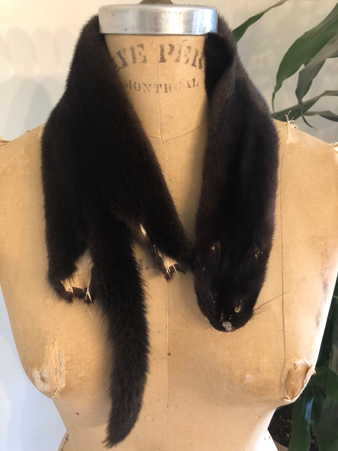 Farm Raised Full Pelt Mink Neck Scarf Etsy