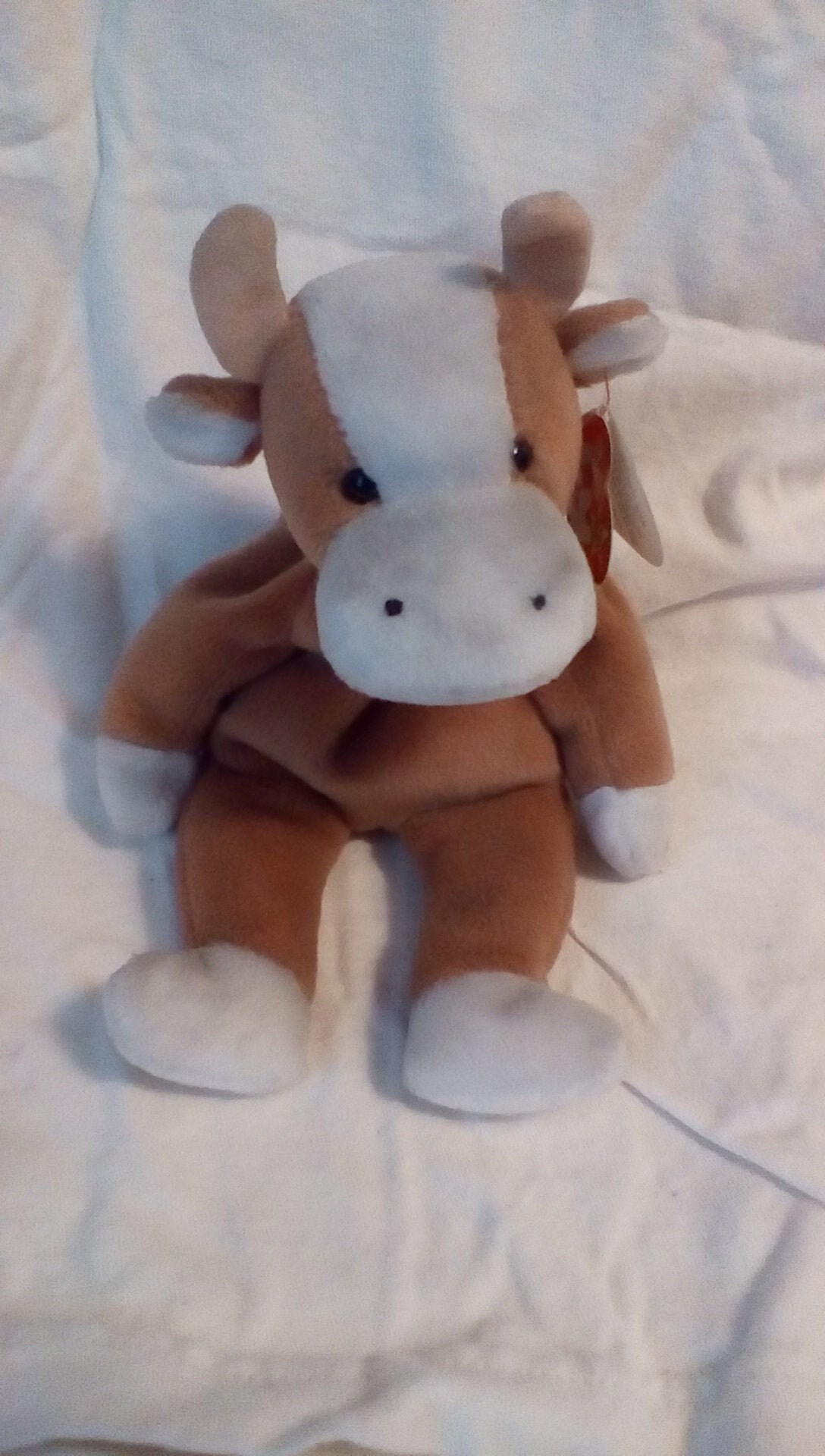 bessie the cow beanie baby