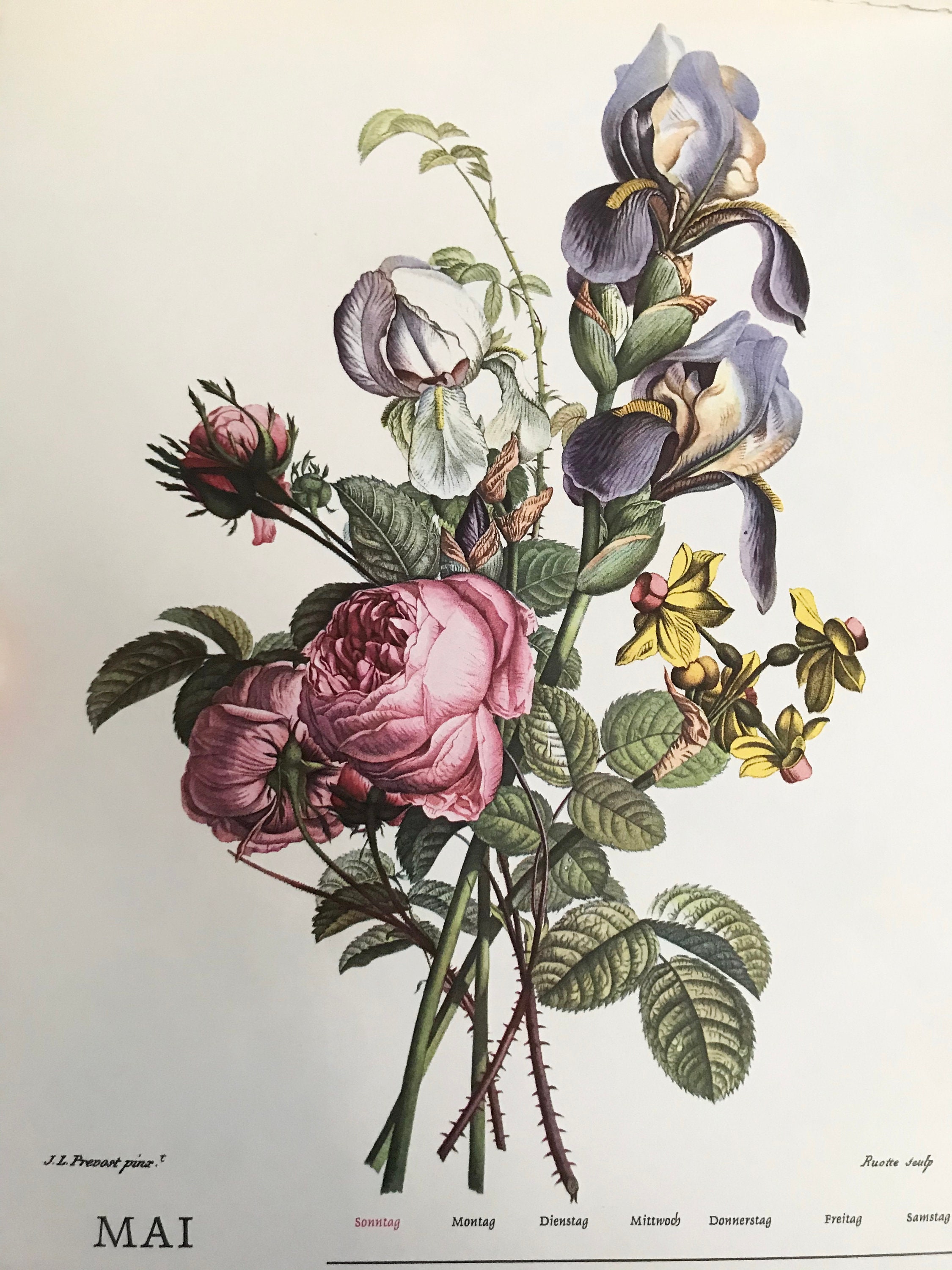 Botanical Illustration Art Calendar Floral Calendar Etsy