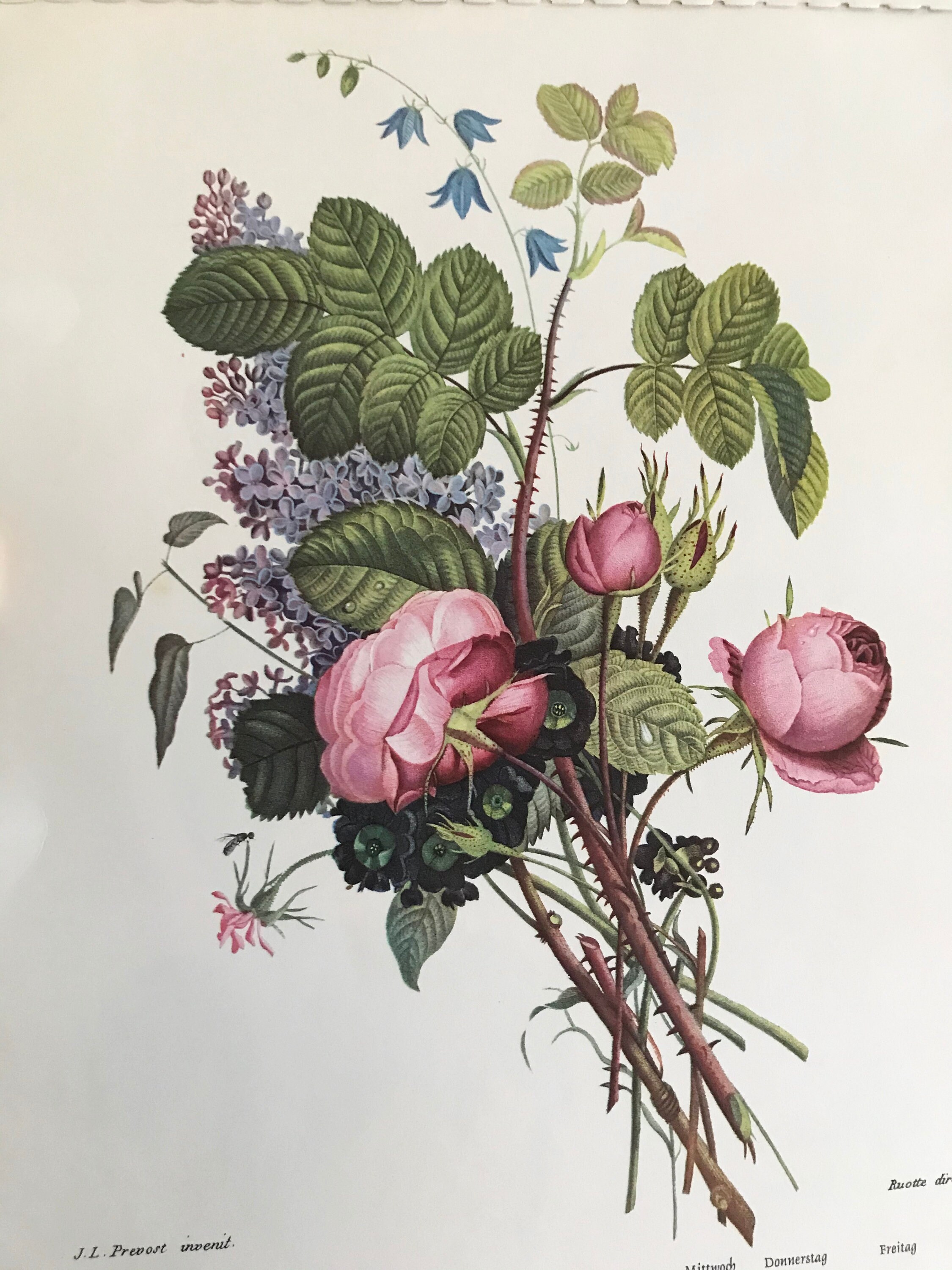 Botanical Illustration Art Calendar Floral Calendar Etsy