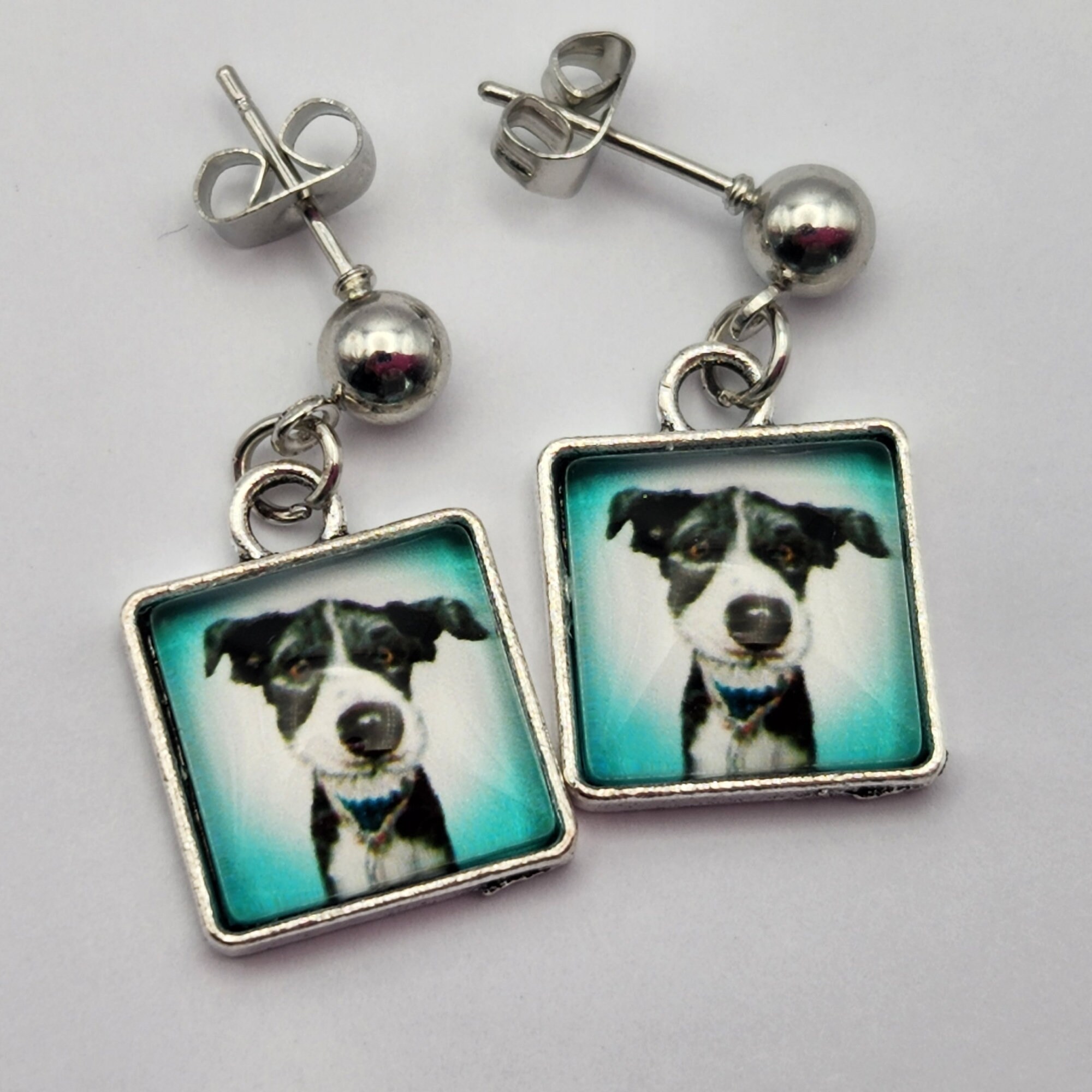 Can Dogs Have Their Ears Pierced