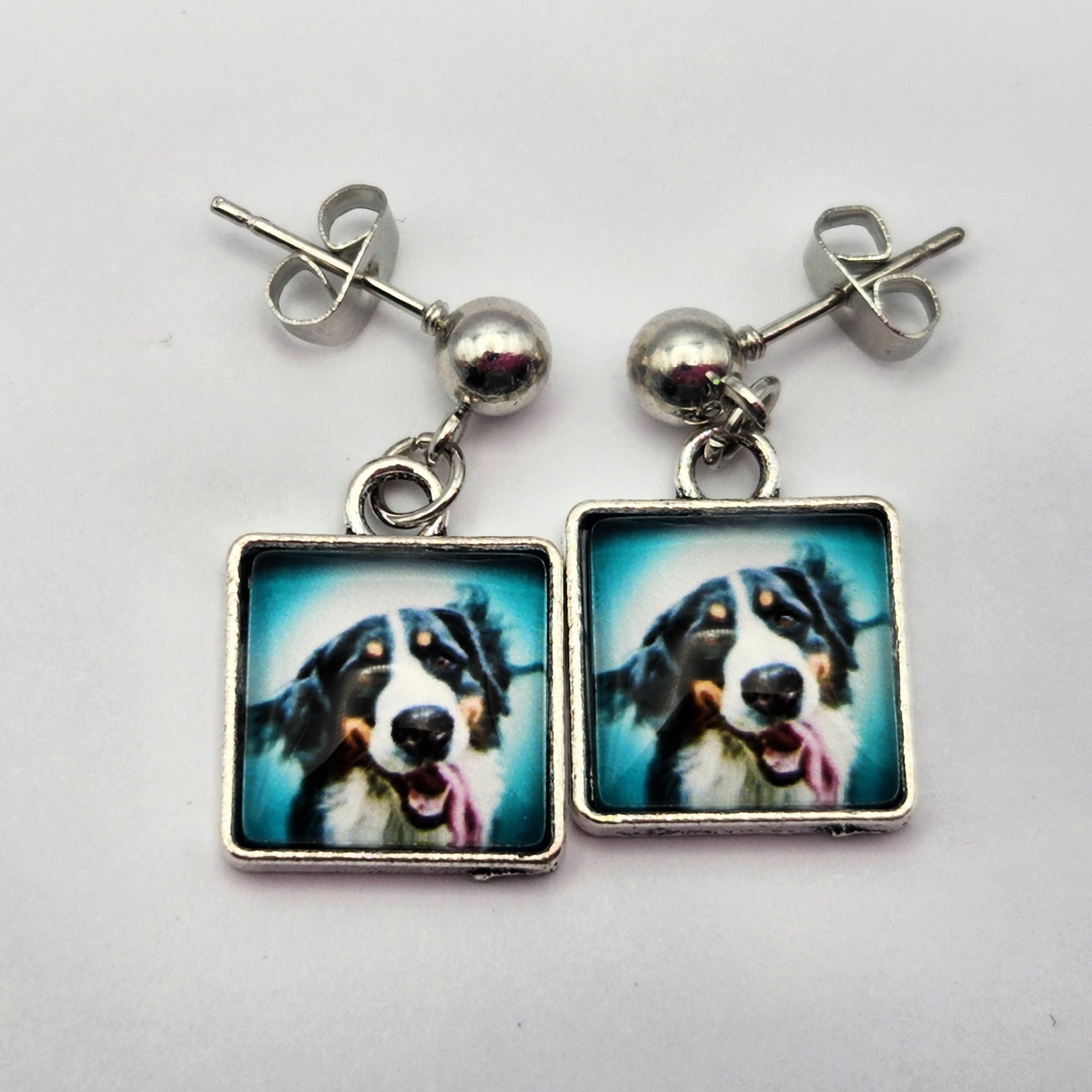 Can Dogs Have Their Ears Pierced