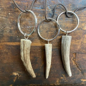 Genuine Antler Tip KeyRing