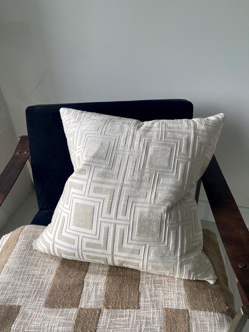 Velvet Throw Pillow for Modern Home Living Room Sofa Cushion for