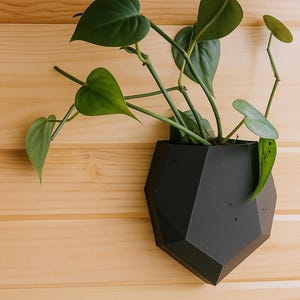 May include: A black, geometric wall planter with a green leafy plant, mounted on a light-coloured wooden wall. The plant has heart-shaped leaves and long stems. The planter is a modern design.
