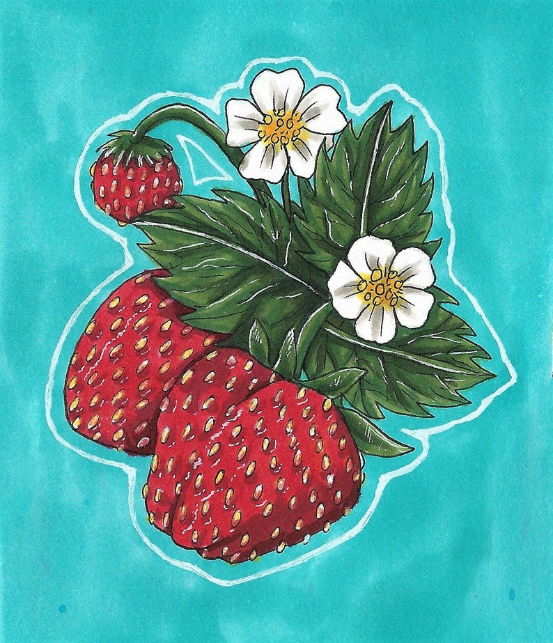 Strawberry Vinyl Fruit Food Sticker Pack | Etsy