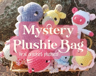 Crochet Plushie Mystery Bag | Viral tik tok Crochet, Trendy Crochet, Aesthetic Plushie, Mystery Box, Surprise Pack, Random Plush