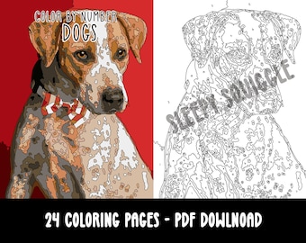May include: Color by number coloring page featuring a dog with a red and white bow tie. The image is in black and white with numbered sections for coloring. The text "COLOR BY NUMBER DOGS" is at the top of the image. The text "24 COLORING PAGES - PDF DOWNLOAD" is at the bottom of the image.