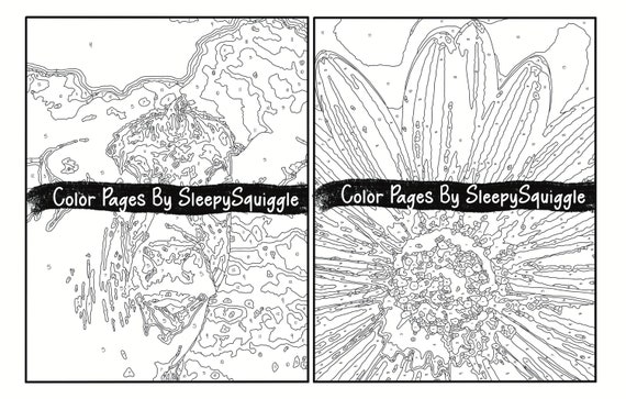 Nature Color by Number Adult Coloring Book 30 Digital Coloring Pages  Printable PDF Download Stress Relief Mental Health 