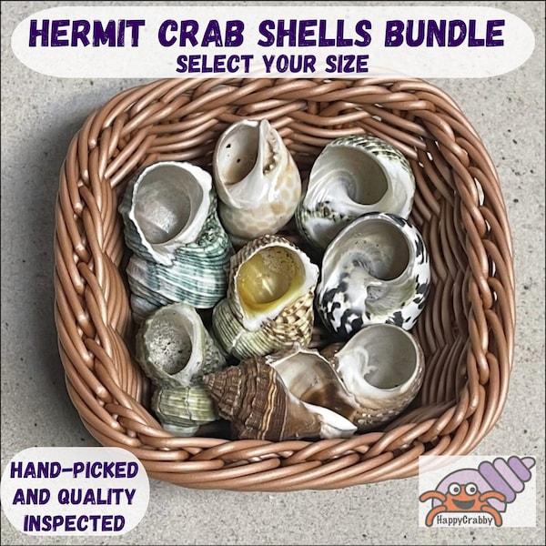 Hermit Crab Shells Bundle - Selecteer jouw stijl en exacte maat. Met de hand geplukte/op kwaliteit geïnspecteerde heremietkreeftschelpen.