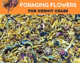 Foraging Flowers - Hermit Crab & Isopod Treat