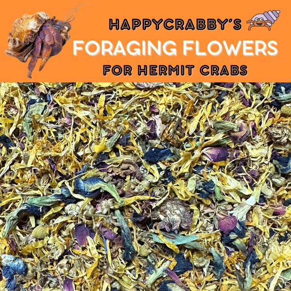 Foraging Flowers - Hermit Crab & Isopod Treat