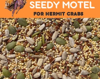 Seedy Motel - Hermit Crab Food