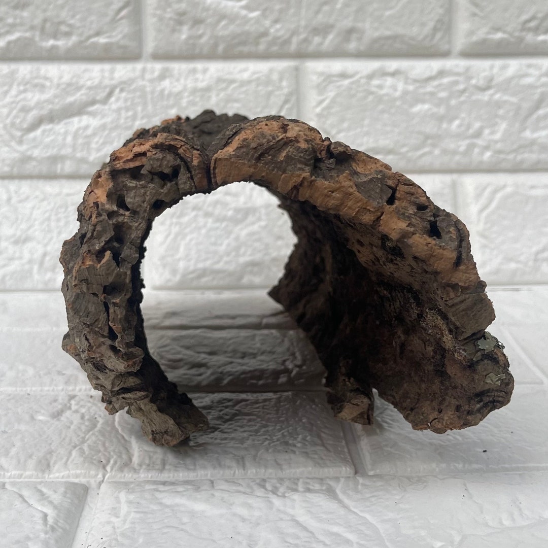 Cork Wood Hermit Crab Hut Etsy