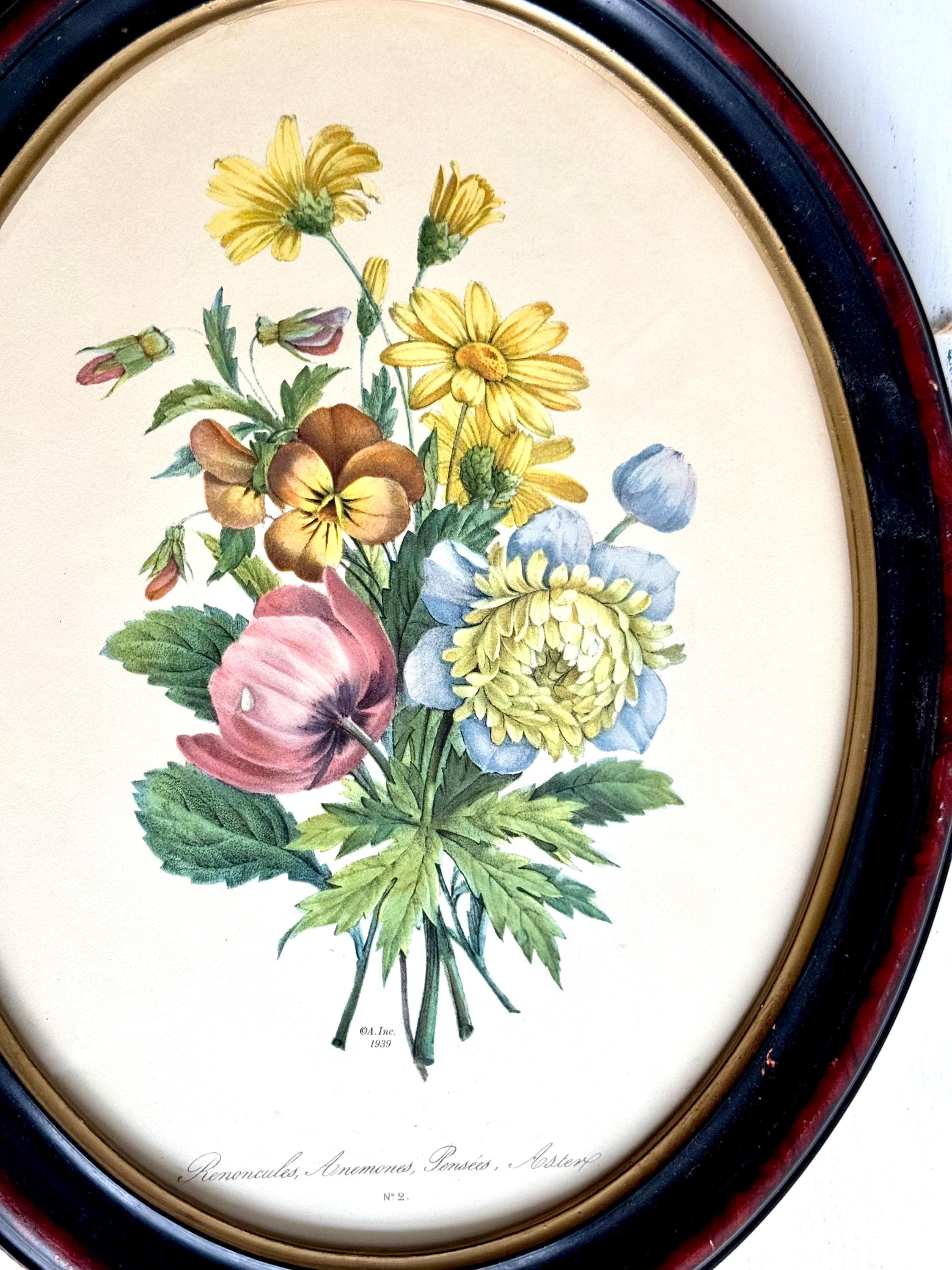19th Century Botanic - Etsy