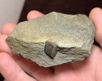 California Pyrite in Slate Specimen