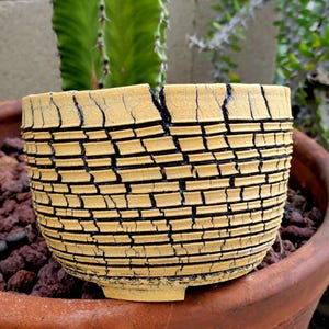 May include: A yellow ceramic planter with black lines and a crack running down the side. The planter has a textured surface and is sitting on a brown surface.