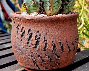 Peety Pots de Pablo Handmade Pottery - Ideal para suculentas o cactus