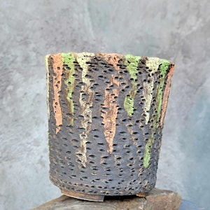 May include: A dark gray ceramic planter with a textured surface and painted stripes in shades of green, orange, and yellow.