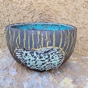 Peety Pots by Pablo Handmade Pottery - Great for succulents or cacti