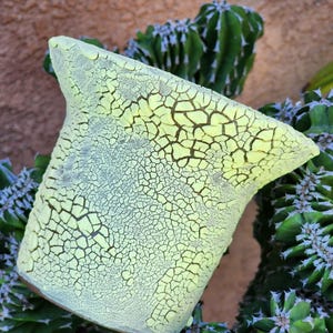 Peety Pots by Pablo Handmade Pottery - Great for succulents or cacti