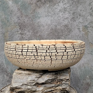 Puede incluir: Un cuenco de cerámica beige con una superficie agrietada y texturizada. El cuenco es de forma ovalada y se apoya sobre una piedra gris. El fondo es gris moteado. Este cuenco decorativo es adecuado para plantas o como pieza decorativa.