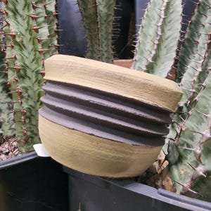 May include: A small, round, ceramic planter with a ribbed, dark gray band around the middle. The top and bottom are a light yellow color. The planter is sitting in a black plastic pot, with a cactus in the background.