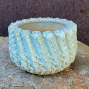 May include: A small, round, light blue planter with a textured, ridged exterior. The rim and ridges have a light gold color. The planter is sitting on a rough, brown stone surface.
