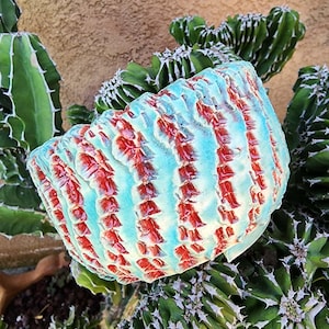 Peety Pots by Pablo Handmade Pottery - Great for succulents or cacti
