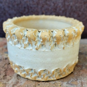May include: A small, off-white ceramic planter with a textured, light brown rim and base. The planter has a cylindrical shape with a smooth, unadorned band around the middle. The textured edges add a rustic, handcrafted feel.