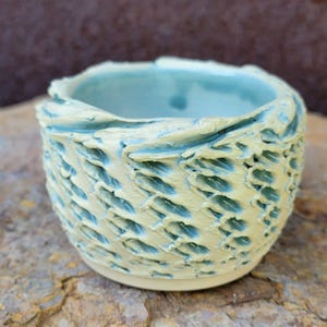 Peety Pots by Pablo Handmade Pottery - Great for succulents or cacti