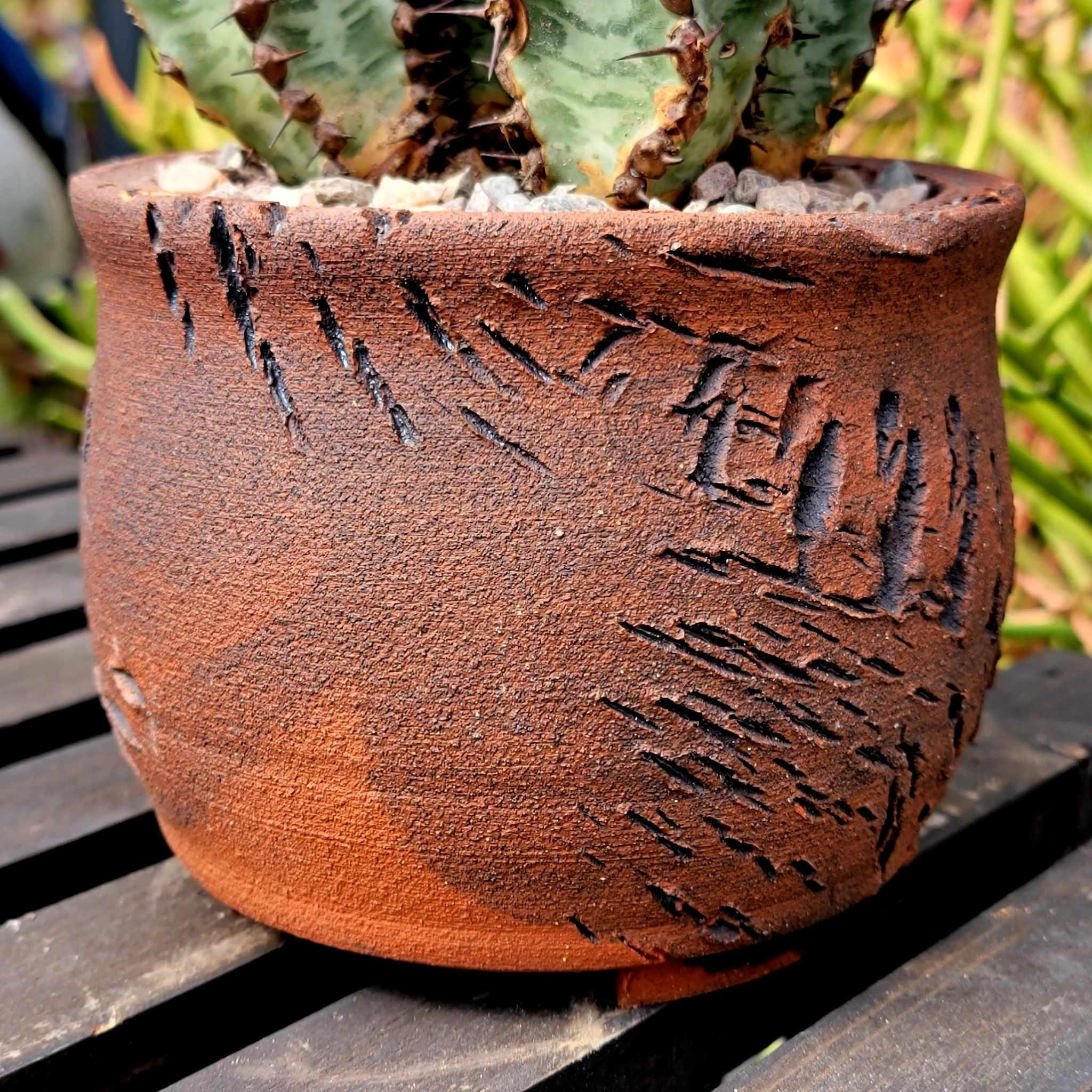 Pablo Handmade Pottery の Peety Pots - 多肉植物やサボテンに最適 