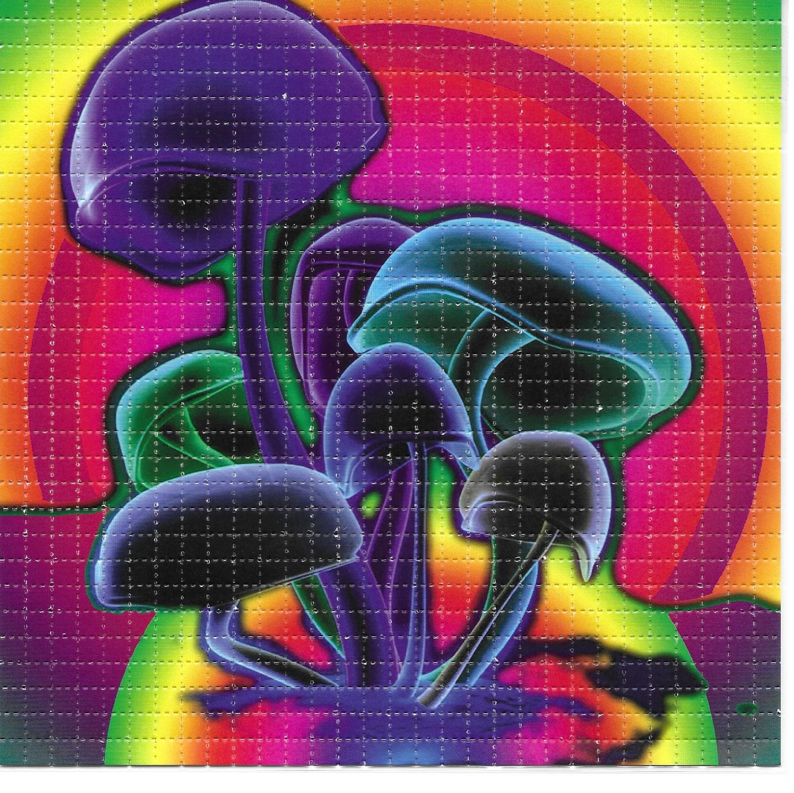 Color Shrooms LSD  Blotter Art Psychedelic Acid Free Paper