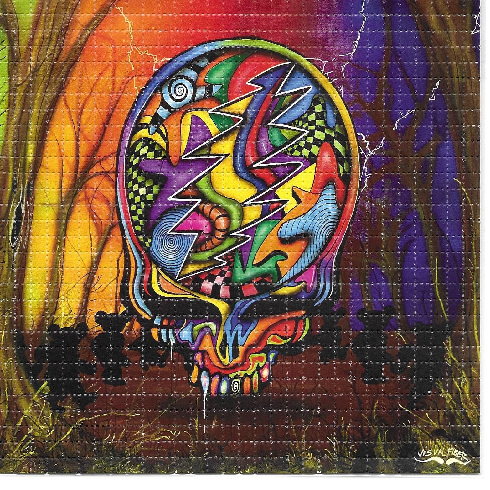 絵画 SPLIDHEAD Signed & Numbered Steal Your Deadhead Skull Visual Fiber