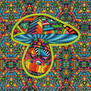 Kalidescope Mushroom av Ashley Austin SIGNERAD Numrerad Begränsad upplaga om 100 psykedeliska LSD Blotter Art Psykedeliskt syrafritt papper