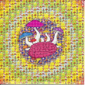 Svamphjärna LSD Blotter Art Psykedelisk syrafritt papper