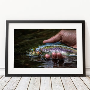 Catch and Release Rainbow Trout Art Print - Interior Design - Fishing Photography - Decor