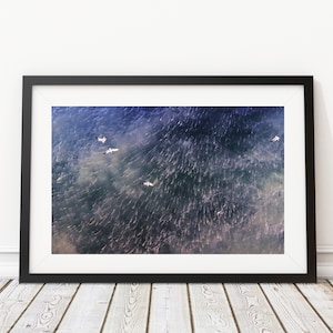 The Blitz is On Art Print - Interior Design - Fishing Photography - Decor