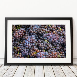 Grapes Art Print - Interior Design - Wine Photography - Wine Decor
